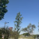 에버힐 | 세종시 레스토랑 금강뷰 맛집 - 빈스텔라 비스트로 방문 후기(에버힐gc 맛집)