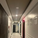 비비파라다이스짐 이미지