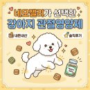 뚝통 | 강아지 다리에서 뚝 소리가 난다면? 슬개골 수술 후 관리로 선택한 안티놀 급여 후기