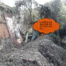 제네시스노래주점 이미지