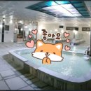 서해스파랜드 이미지