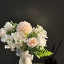 군자교입구 | 군자역피부관리 에스테틱 오우시아 샤이닝 리프팅 윤곽관리와 수분관리를 한 번에