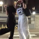 N.S | 더로우 파크백 미디움 후기 The Row Medium N/S Park