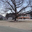 상북초등학교소호분교장 이미지