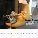 꿈의 향연-2007 이미지