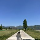 네발친구 이미지