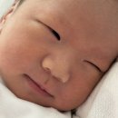 밥사랑 | ❤️사랑하는 나의 두번째 아이, 서울여성병원에서의 분만후기 및 산후조리원 후기 :)