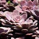 넘버25 동성로점 | 대구 대구광역시 넘버25호텔 동성로점, 위치, 후기, 주차