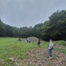 서리상반고려백자요지 | (19.09.03)용인ㅡ세계에서 가장 긴 "서리 가마터"