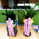 성곡동 행정복지센터 이미지