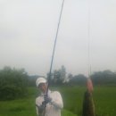 만식이네 이미지