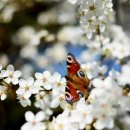 대한종합상사 이미지