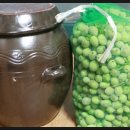 와동농장 이미지