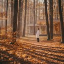 대흥한의원 | 3주 넘게 안 멎는 만성기침, 목이 아니라 ==자율신경==이 보내는 신호일 수 있습니다