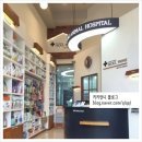 서울프라임 동물병원 이미지