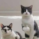 희래원 - 수원시 장안구 파장로76번길 23 | 희래원