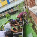 서산기쁨농장 이미지