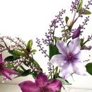 써니애견 미용실 이미지