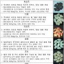 벼의 진화 - 자연진화 1만년, 인공진화 50년