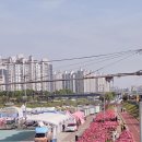 중랑천 | 일기장 2026 서울 중랑천 장미축제 포토존 실시간 후기