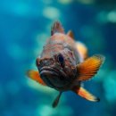 21세기 동물병원 이미지