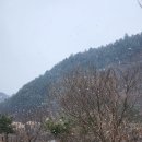 백낙제 플랫하우스 | 가평 펜션 백낙제 플랫하우스 단체 모임 후기(독채 10인 숙소, FL1객실, 개별 바비큐)