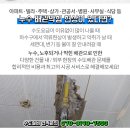 버클리명문유치원 이미지