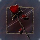 유리의옷가게 이미지