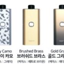 시청 옆 전자담배