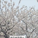 서호호근로 네이버블로그