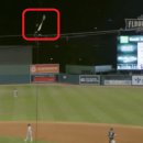 마이너리그에서 나온 역대급 배트플립.gif 이미지