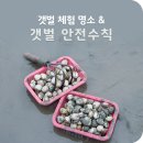 5월 갯벌체험, 서해 갯벌체험 vs 남해 갯벌체험 이미지