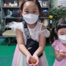 보람농장2 네이버블로그