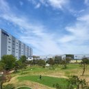 리얼숏게임-어프로치 이미지