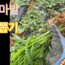 김원섭농장 이미지