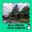용산-현장-49 | 용산구 신창동 화단 나무 제거 및 벌목 비용