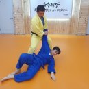 Pedagogy 박사유도관 이미지