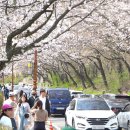 한수제 일원 이미지