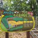 서림공원 유아숲체험원 이미지