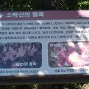맹*재 - 해남군 향교길 9-8 | 맹*재