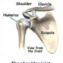 동익인간 원스텝짐 이미지
