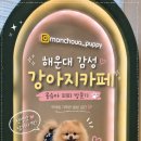 강아지놀이터 | 해운대 강아지 유치원 몽슈아퍼피 강아지놀이터 이용 후기