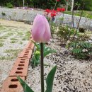 예사랑민박 이미지