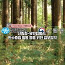 유한킴벌리 주식회사 이미지