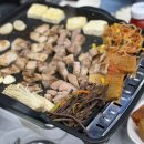 군산수족관 이미지