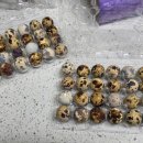 요리 초보 집밥 만들기 이미지