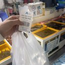 남해수산시장2 | 남해 회 포장 삼천포용궁수산시장 은지상회 제철 회 강추