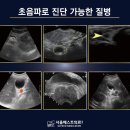 서울베스트의료의원 이미지