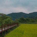 백제가요정읍사오솔길(2코스 내장호 수변데크) 이미지