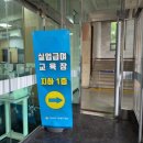 해고 실업급여｜1차 실업인정일 구직급여 가인정자(+해고예고수당)